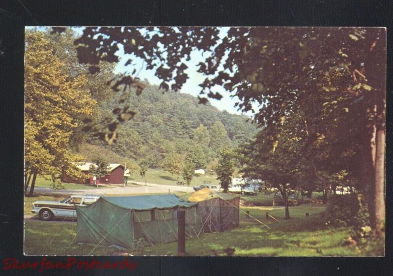 GREENUP KENTUCKY CAMPING AT GREENBO LAKE STATE PARK ADVERTISING POSTCARD