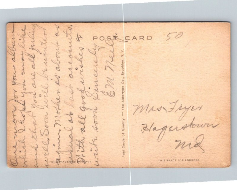 Berry Creek   McGill  Nevada   Postcard