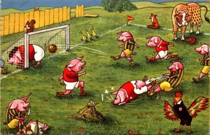 Humour Pigs Playing Soccer 1959