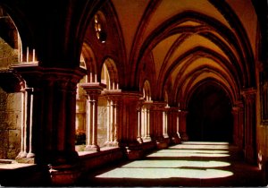 Portugal Coimbra Cloister Of Se Velha