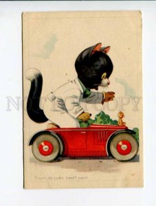 414482 Dressed CAT in Small CAR vintage COMIC colorful PC