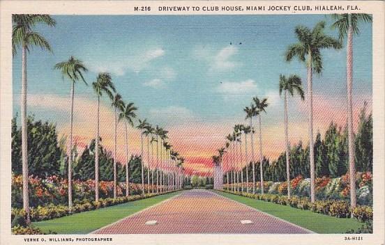 Florida Hialeah Driveway To Club House Miami Jockey Club 1936