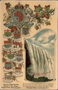 Niagara Falls Ontario ONT American Falls Queens Park Bazaar c1910 Postcard