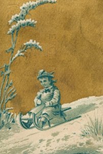 1870's Central Christian Sunday School Cleveland Victorian Trade Card P117