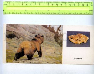 203691 DINOSAURS Ursus spelaeus old russian postcard #12 BEAR