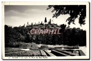 Postcard Modern Tomar A Trecho Da Mata From Sete Montes