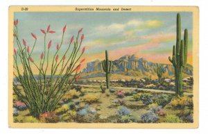 AZ - Superstition Mountain & Desert