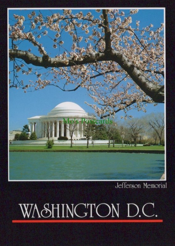 America Postcard - Jefferson Memorial, Washington D.C - SW3139