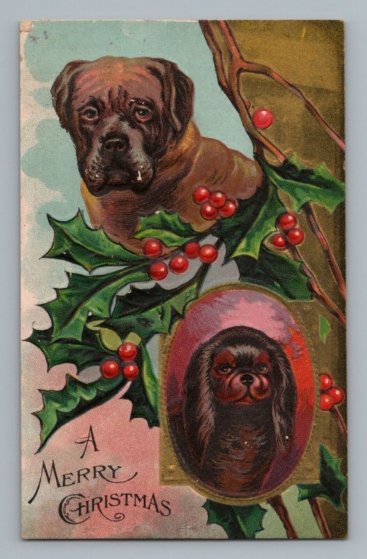 Dogs Mastify Spaniel Christmas Holly Gold Tone Embossed Postcard 