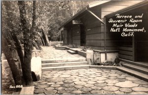 RPPC Terrace and Souvenir Room Muir Woods Nat'l Monument CA Vintage Postcard M56