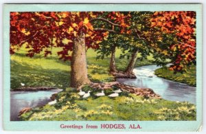 1940's GREETINGS FROM HODGES ALABAMA SCENIC VINTAGE LINEN POSTCARD BLUE BORDER