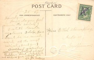 Artist Palette Swan View Postcard Backing 