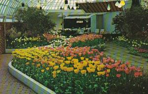 Pennsylvania Pittsburgh Phipps Conservatory Spring Flower Show Tulip Gardens