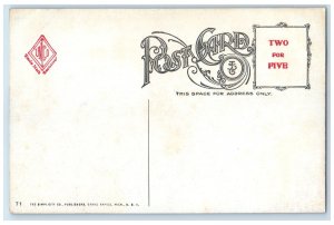 c1910's Bird's Eye View Of The City Of Niagara Falls New York NY Houses Postcard