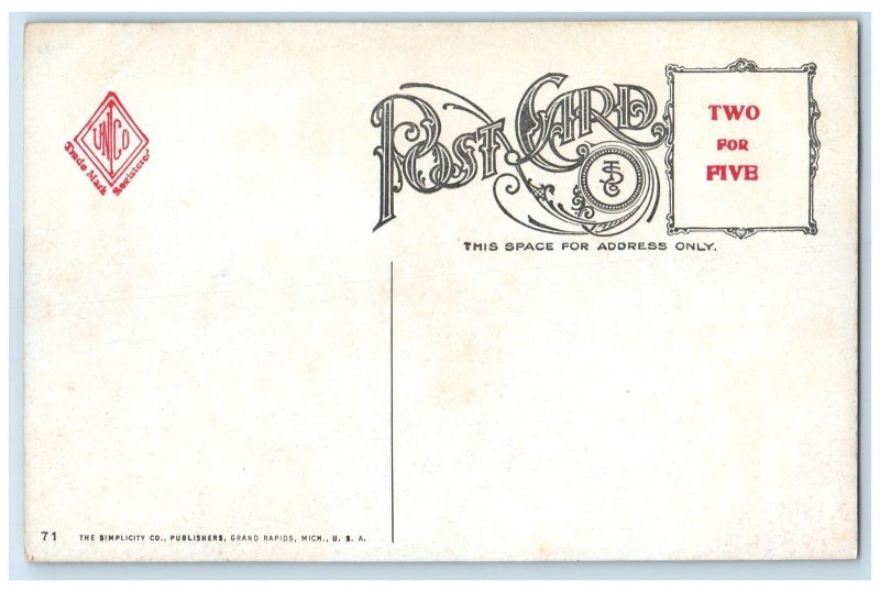 c1910's Bird's Eye View Of The City Of Niagara Falls New York NY Houses Postcard