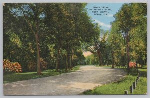 Linen~Fort Worth Texas~Trinity Park River Drive Thru Trees~Vintage Postcard