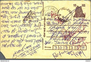 India Postal Stationery Tiger 15