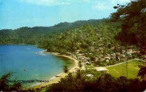 Tobago - Charlotteville. Bird's Eye View