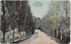 1910 PEORIA Illinois Ill Postcard GLEN OAK PARK DRIVEWAY