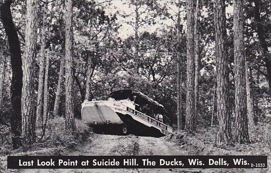 Wisconsin Dells Last Look Point At Suicide Hill Real Photo RPPC