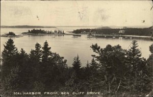 Providence Rhode Island RI Seal Harbor Real Photo c1910s Postcard