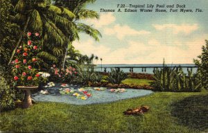 Florida Fort Myers Edison Winter Home Tropical Lily Pool and Dock Curteich