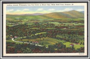 Vermont, View From Fire Tower on Mount Olga - [VT-028]