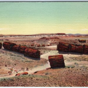 1939 Petrified Forest, AZ Logs in Third 3rd Forest Teich Linen PC P.F. #35 A286