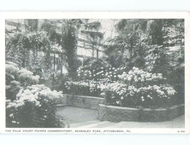 1940's CONSERVATORY AT SCHENLEY PARK Pittsburgh Pennsylvania PA c8502