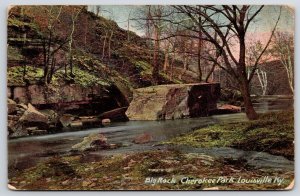 Vintage Postcard 1908 Big Rock on the River Nature Cherokee Park Louisville KY