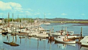 Postcard Early View of Fishing Fleet on near Warrenton, OR.      S2