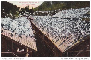 California Los Angeles Pigeon Farm Near Elysian Park