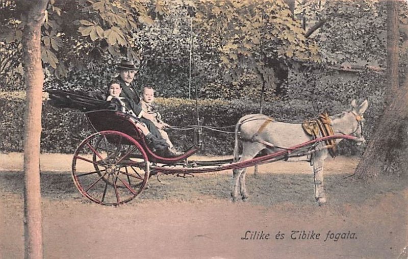 Lilike es Tibike fogata Republic of Hungary Postal Used Unknown 