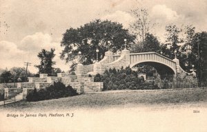 Vintage Postcard 1910's Bridge in James Park Madison  New Jersey 1Cent