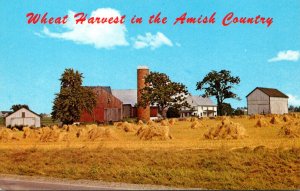 Pennsylvania Greetigs From The Amish Country Wheat Harvest and Amish Farm