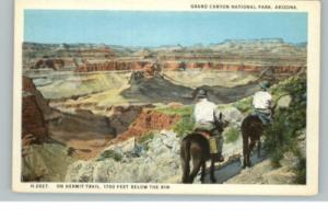 Grand Canyon AZ Fred Harvey c1910 Postcard