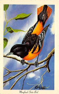 Baltimore Oriole State Bird, Maryland MD Postcards