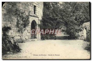 Old Postcard Chateau of Dourdan Entree du Donjon
