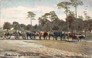 Ox Team Wagon in the South 1911 postcard