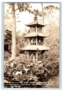 Calla Lillies Pagoda Japanese Garden Clearwater FL Real Photo RPPC Postcard P141