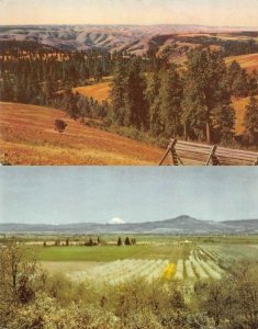 OR, Oregon  DEADMAN'S PASS & ROGUE RIVER VALLEY~Bird's Eye Views  TWO Postcards