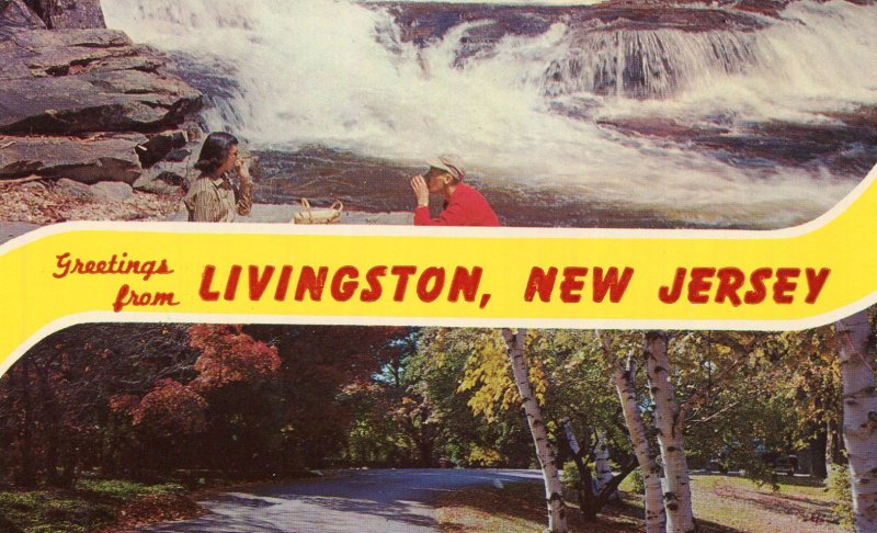 LIVINGSTON NJ BANNER 2 VIEW LUNCH AT ROARING RIVER & PARK UNUSED CHROME POSTCARD