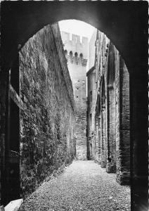 BR18532 Palais des papes Avignon  france