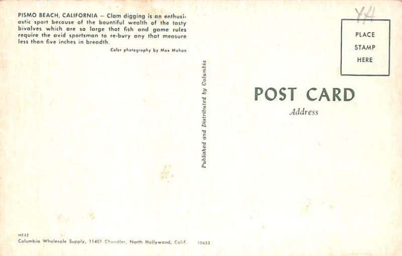 Clam Digging Pismo Beach, California USA