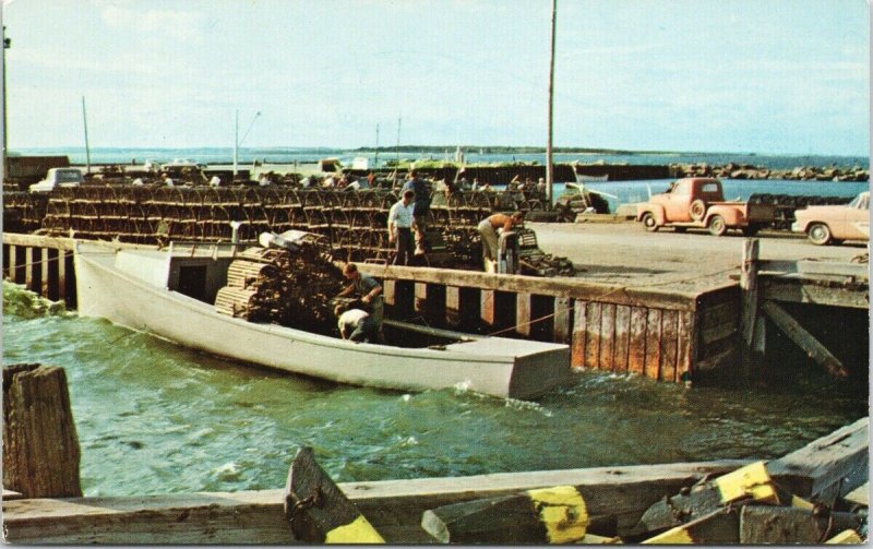 Lobster Season NB New Brunswick Fishermen Fishing Unused Vintage Postcard F30