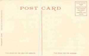 West Hotel Minneapolis Minnesota 1910c Phostint postcard