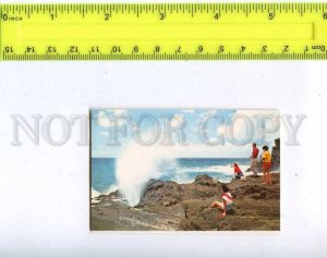 206214 ALOHA from HAWAII Blow Hole old miniature card