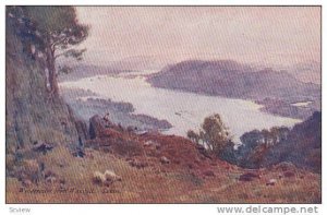 Sunset, Sheep, Windermere From Wansfell, England, UK, 1910-1920s