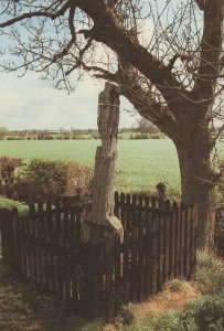 The Bilstone Gibbet Leicester Wife Murderer Crime Postcard