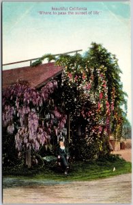 CA-California, Sunset of Life Flowers Vines, Elderly Man Sitting, Postcard